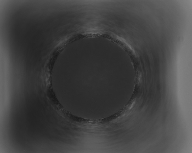 X0000100891350200807151049