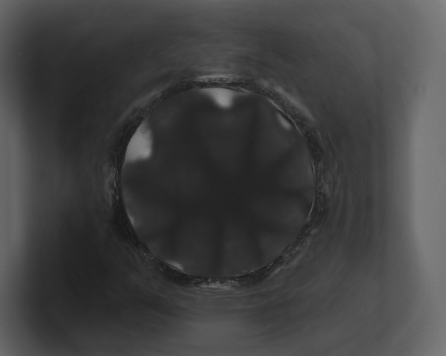 X0000100891351200807151049