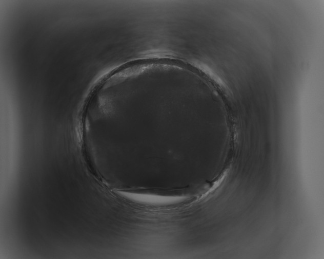 X0000100891358200807151048