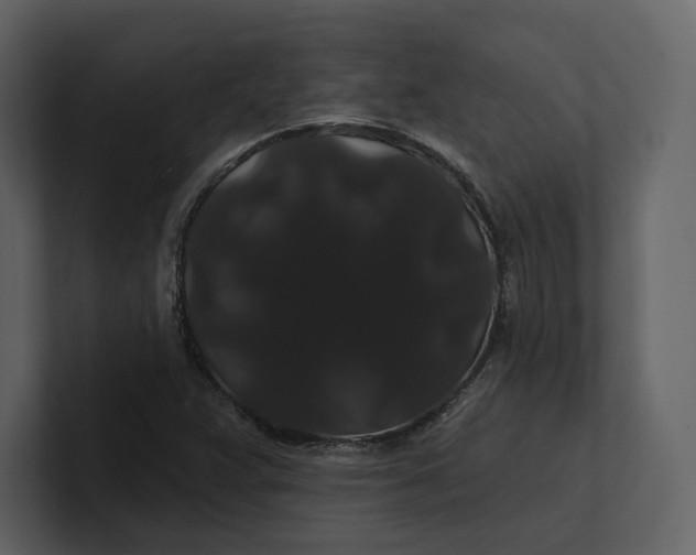 X0000100891359200807151048