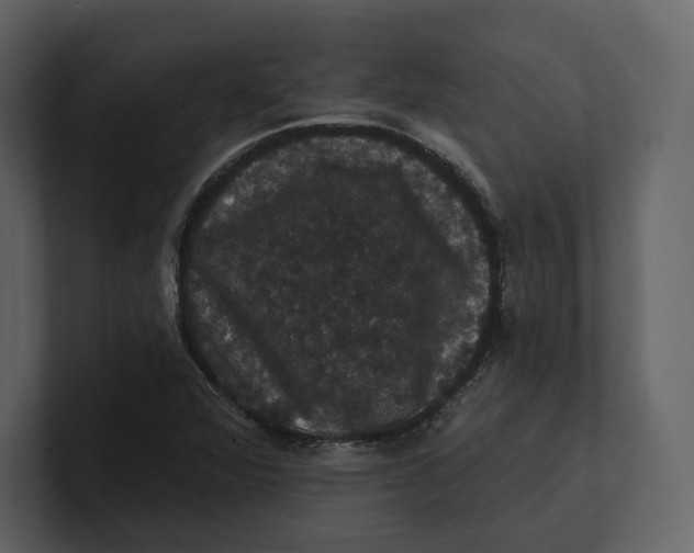 X0000100891360200807151048