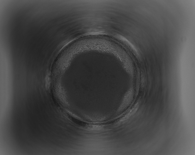 X0000100891361200807151048