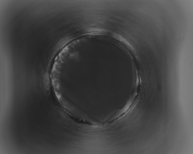 X0000100891362200807151048