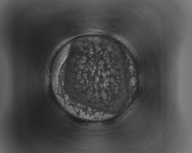 X0000100891363200807151048