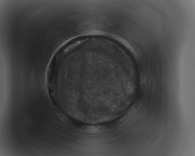 X0000100891364200807151048