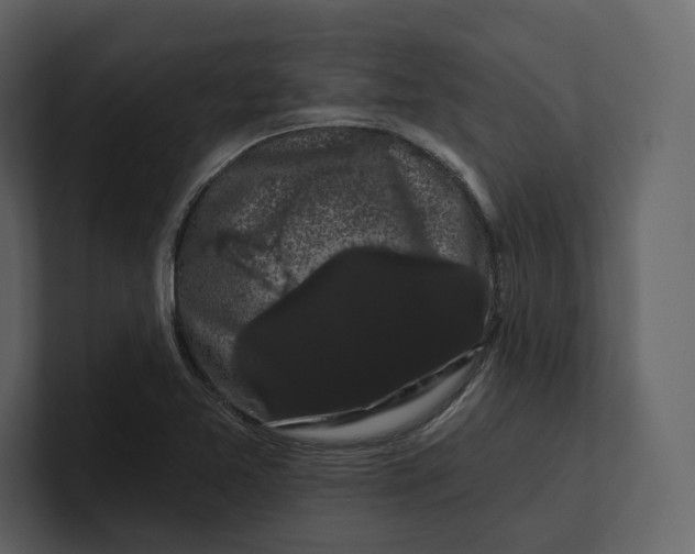 X0000100891365200807151048