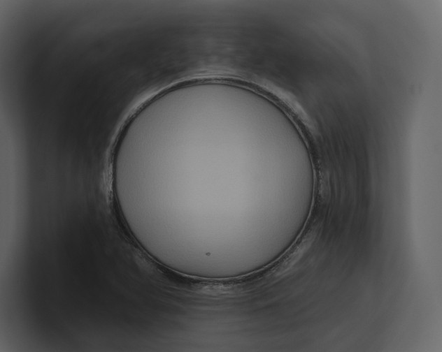 X0000100891366200807151048