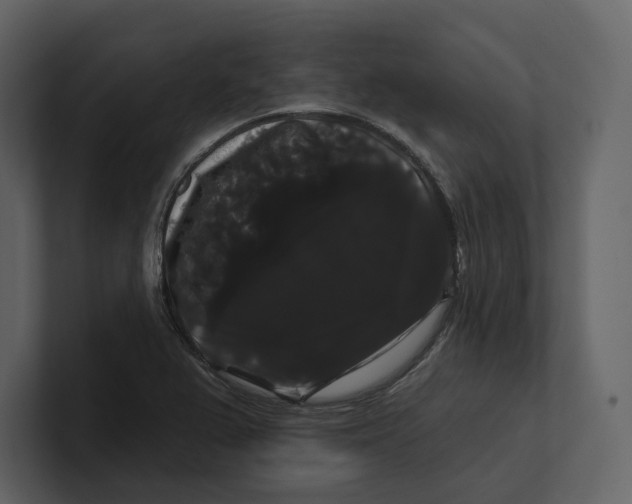 X0000100891367200807151048