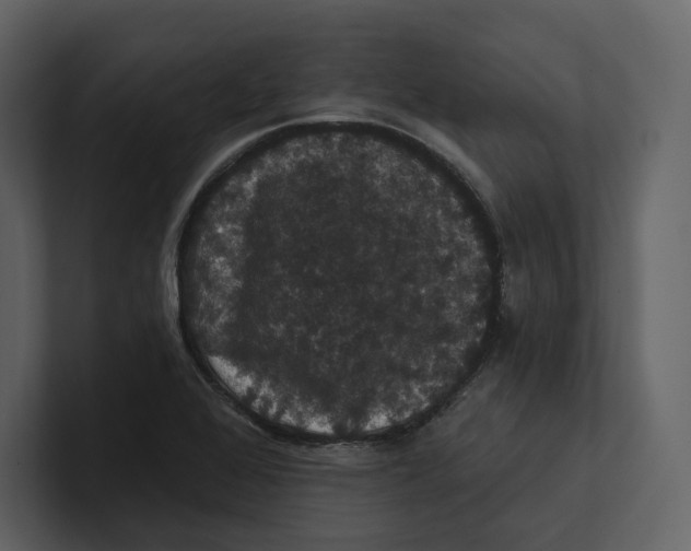 X0000100891368200807151048