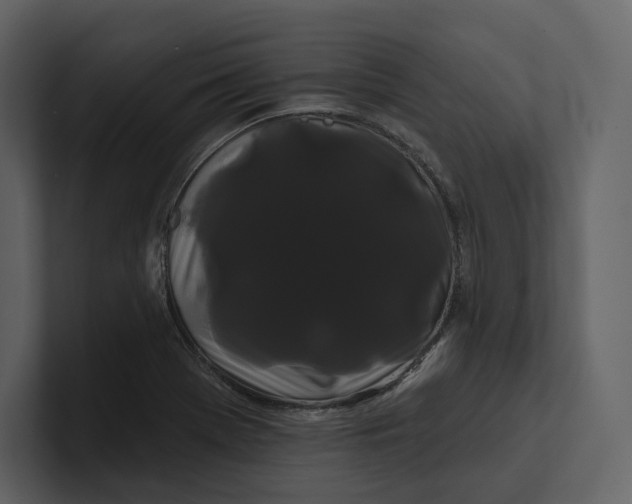 X0000100891369200807151048