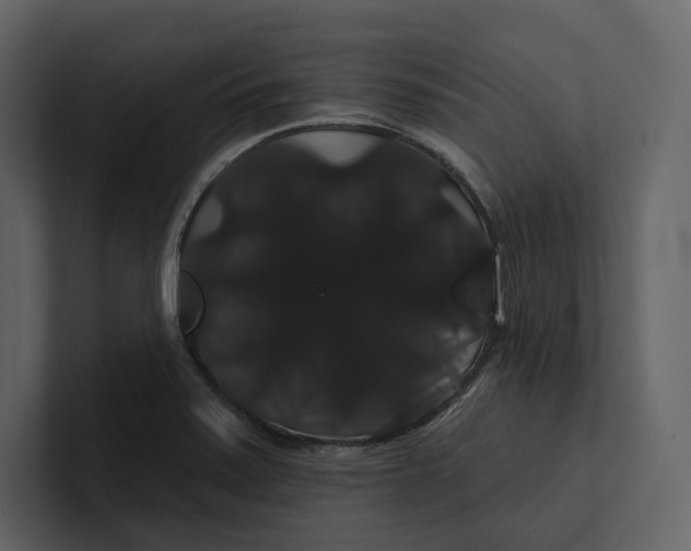 X0000100891371200807151048