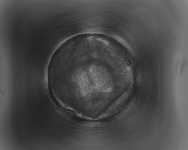 X0000100891372200807151048