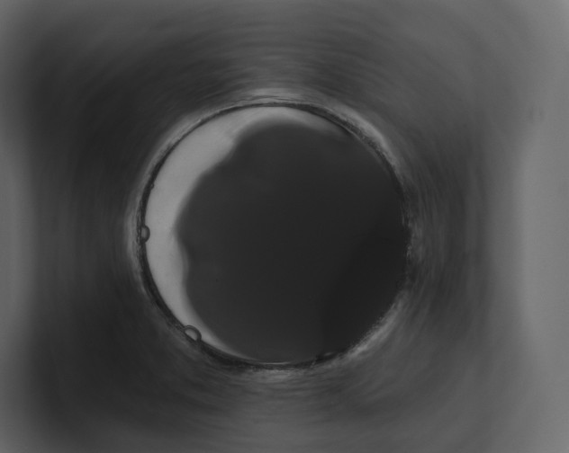 X0000100891373200807151048