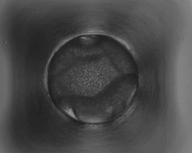 X0000100891374200807151048