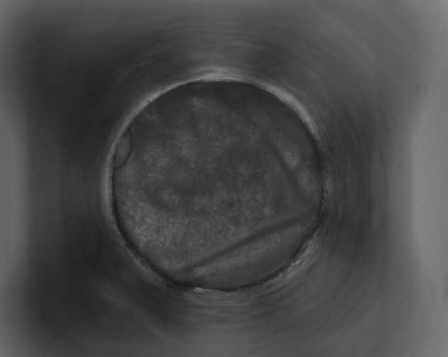 X0000100891375200807151048