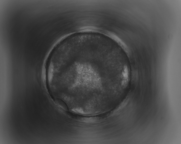 X0000100891376200807151048