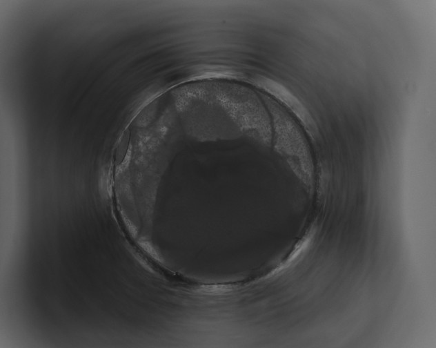 X0000100891377200807151048