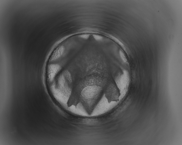 X0000100891379200807151048