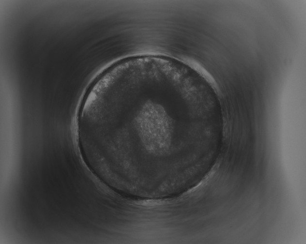 X0000100891380200807151048