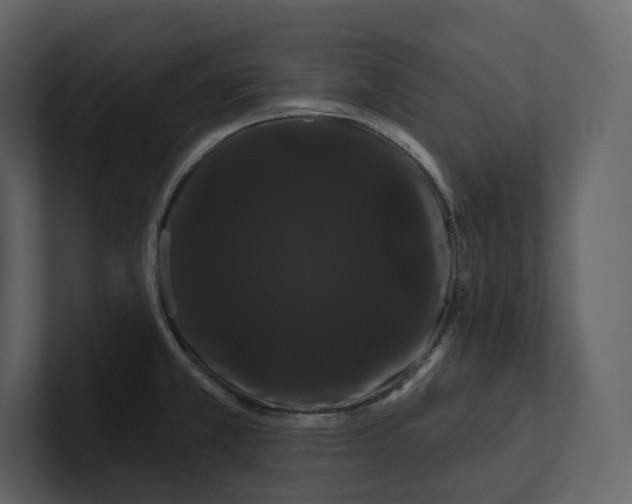 X0000100891381200807151048