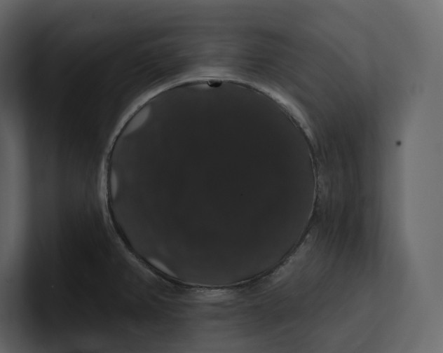 X0000100891382200807151048