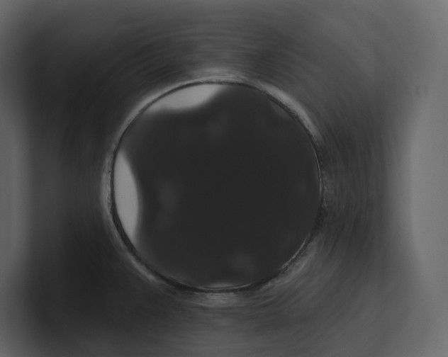 X0000100891383200807151048