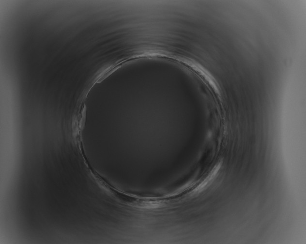 X0000100891385200807151048