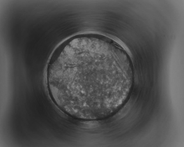 X0000100891388200807151048