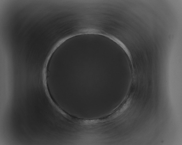 X0000100891389200807151048