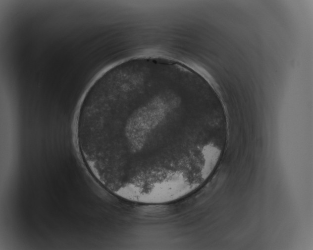 X0000100891392200807151048