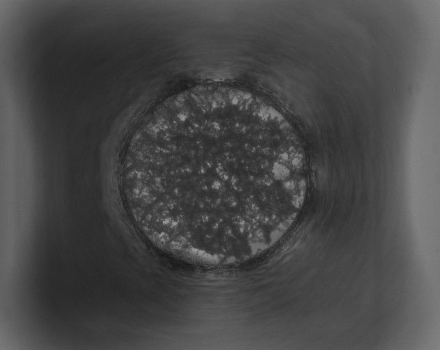 X0000100891393200807151047