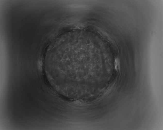 X0000100891395200807151047