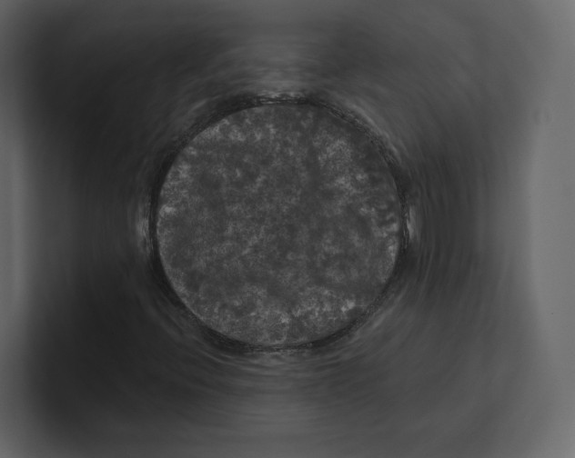 X0000100891396200807151047