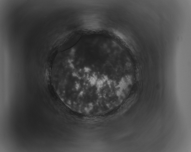 X0000100891397200807151047