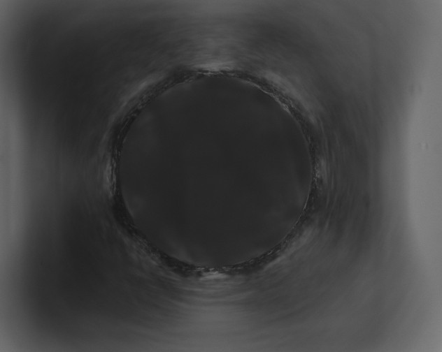 X0000100891398200807151047