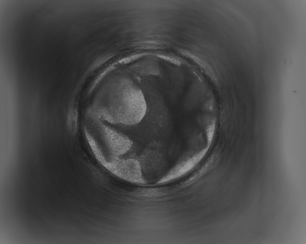 X0000100891402200807151047