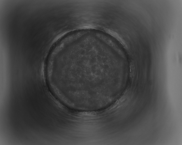 X0000100891404200807151047