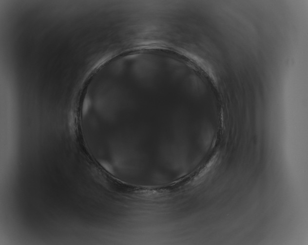 X0000100891405200807151048