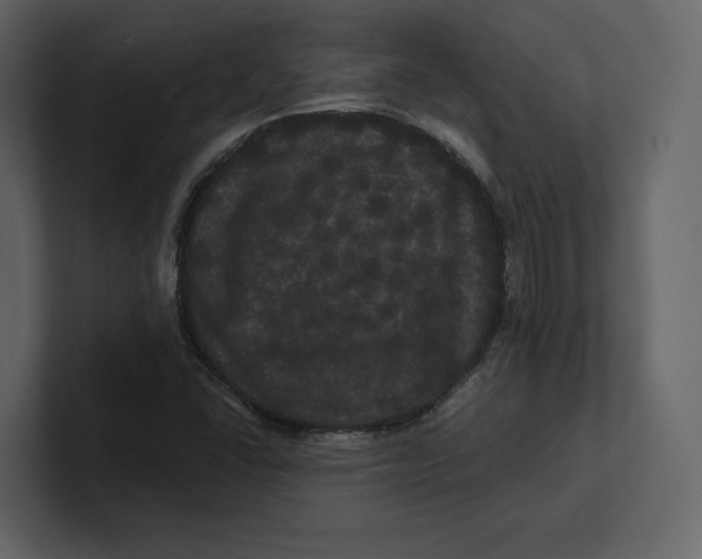 X0000100891406200807151048