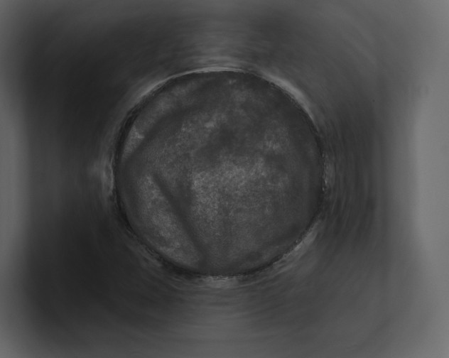 X0000100891407200807151048