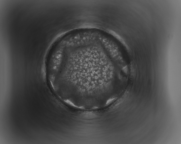 X0000100891408200807151048