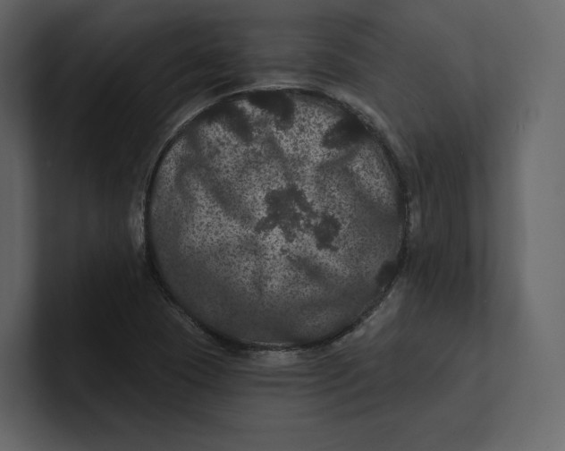 X0000100891409200807151048