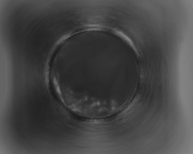 X0000100891411200807151048