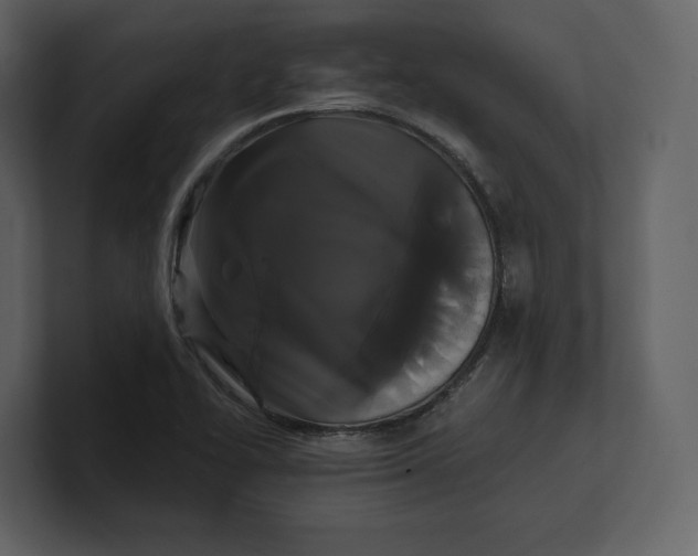 X0000100891414200807151048