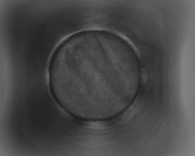 X0000100891416200807151048