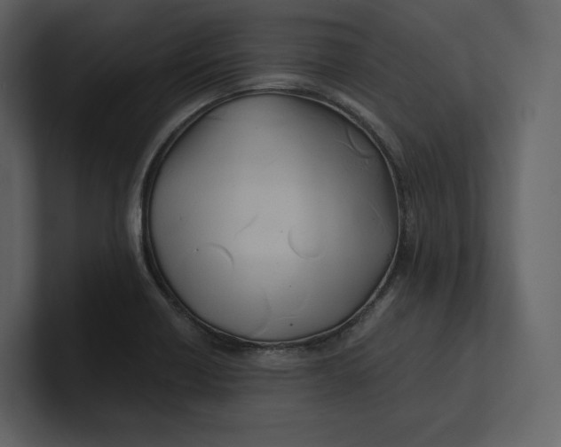 X0000100891418200807151048