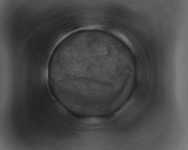 X0000100891420200807151048