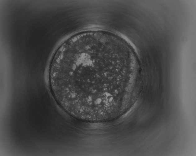 X0000100891421200807151048