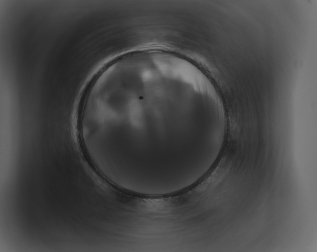 X0000100891422200807151048