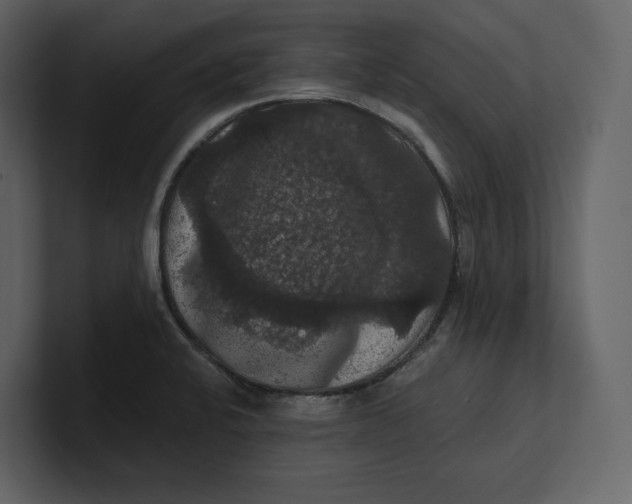 X0000100891424200807151048